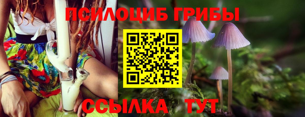 Псилоцибиновые грибы мицелий Нижневартовск