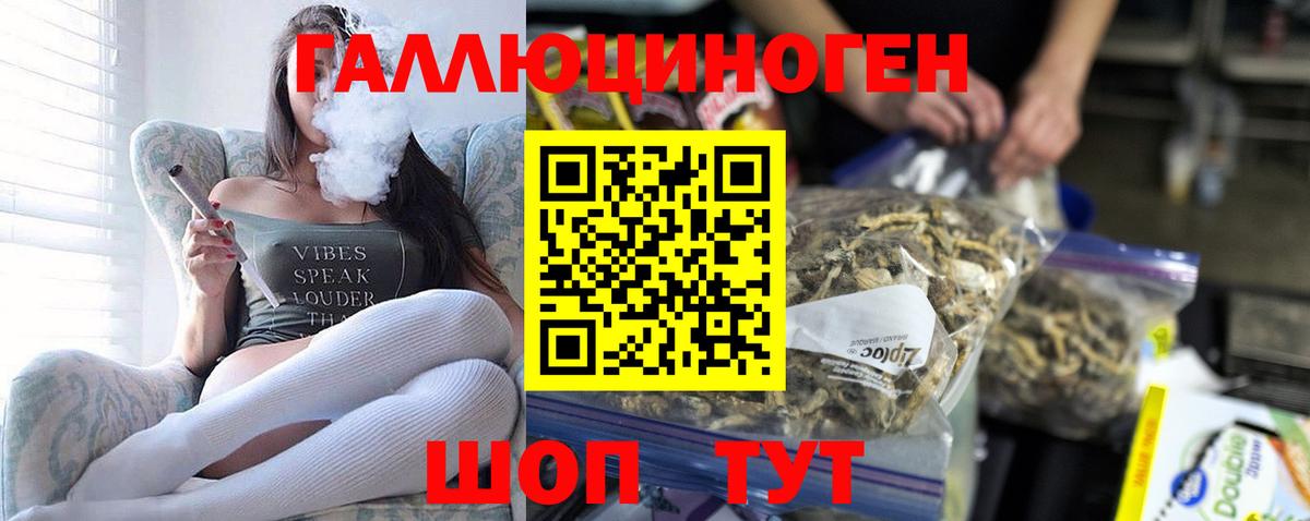 Псилоцибиновые грибы Psilocybe  Галлюциногенные грибы прущие грибы  Вход с VPN  Нижневартовск 